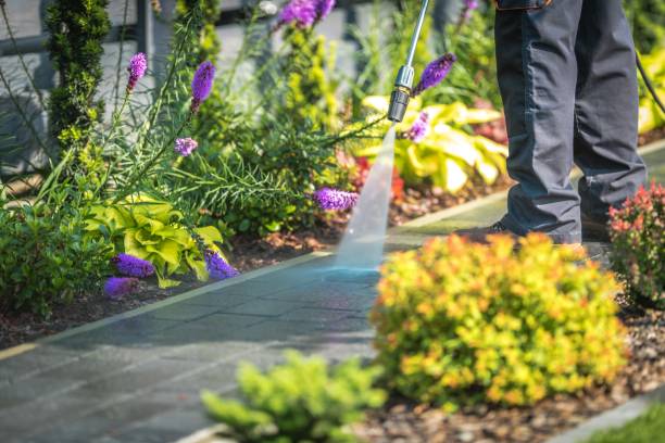 Best Roof Washing  in Travelers Rest, SC